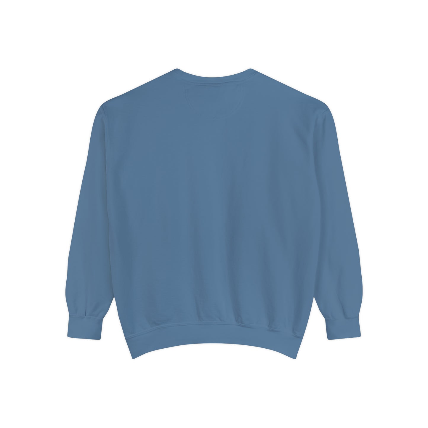 19 Seagull Unisex Garment-Dyed Sweatshirt